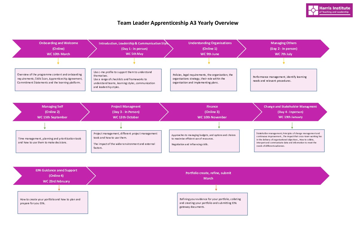 Team Leader Overview A3