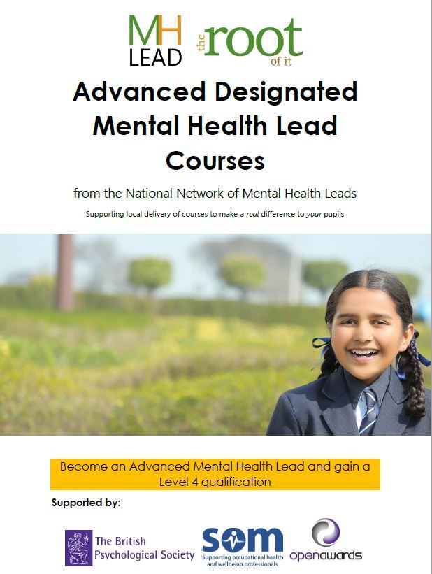 Mental Health Lead Advance Flyer1